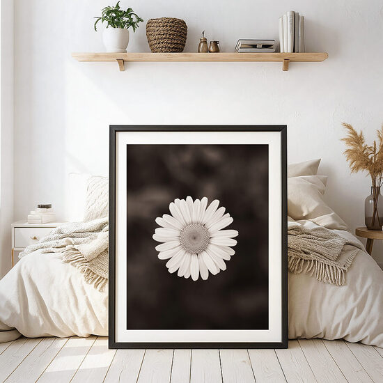 Margrietiņa melnbaltā fotogrāfijā