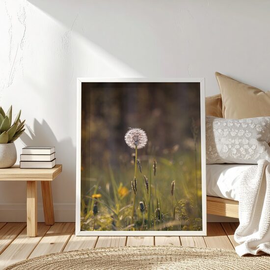 Pieneņu pūkas pļavā