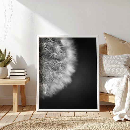 Pieneņu pūkas melnbaltā fotogrāfijā