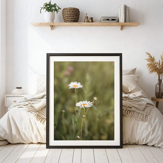 Margrietiņa pļavā