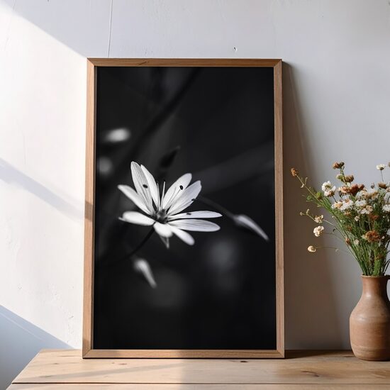 Balts zieds melnbaltā makro fotogrāfijā